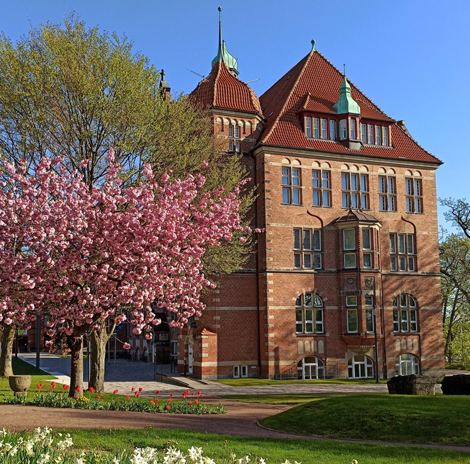 Heinrich-Sauermann-Haus er en del af Museumsberg Flensburg. Det er en bygning af røde sten. Taget er også rødt og blåt. Huset har mange dekorationer og vinduer. Omkring bygningen er der blomstrende træer og blomster. Himlen er blå.