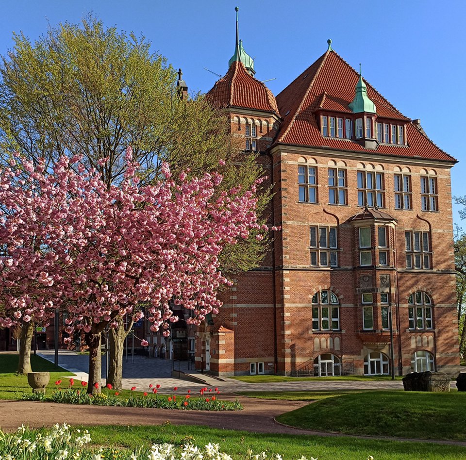 Das Heinrich-Sauermann-Haus ist ein Teil des Museumsberg Flensburg. Es ist ein Gebäude aus roten Steinen. Das Dach ist auch rot und blau. Das Haus hat viele Dekorationen und Fenster. Um das Gebäude herum gibt es blühende Bäume und Blumen. Der Himmel ist blau.