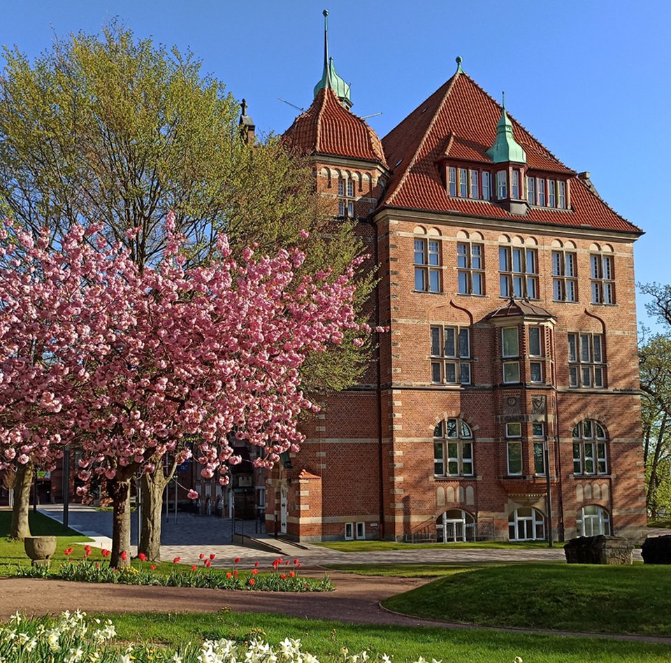 Das Heinrich-Sauermann-Haus ist ein Teil des Museumsberg Flensburg. Es ist ein Gebäude aus roten Steinen. Das Dach ist auch rot und blau. Das Haus hat viele Dekorationen und Fenster. Um das Gebäude herum gibt es blühende Bäume und Blumen. Der Himmel ist blau.