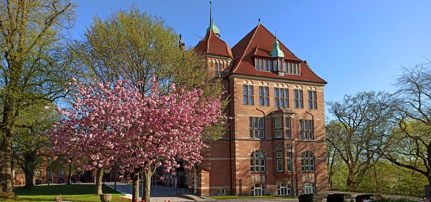 Das Heinrich-Sauermann-Haus ist ein Teil des Museumsberg Flensburg. Es ist ein Gebäude aus roten Steinen. Das Dach ist auch rot und blau. Das Haus hat viele Dekorationen und Fenster. Um das Gebäude herum gibt es blühende Bäume und Blumen. Der Himmel ist blau.
