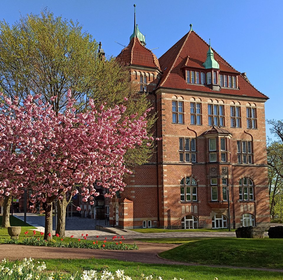Das Heinrich-Sauermann-Haus ist ein Teil des Museumsberg Flensburg. Es ist ein Gebäude aus roten Steinen. Das Dach ist auch rot und blau. Das Haus hat viele Dekorationen und Fenster. Um das Gebäude herum gibt es blühende Bäume und Blumen. Der Himmel ist blau.