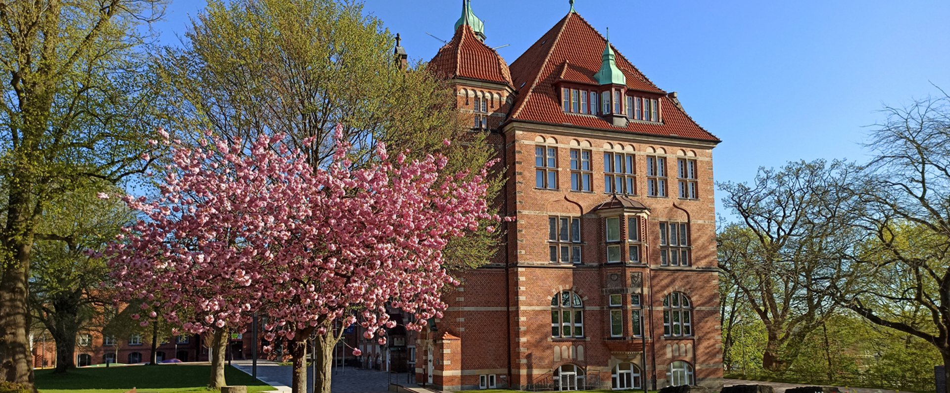 Das Heinrich-Sauermann-Haus ist ein Teil des Museumsberg Flensburg. Es ist ein Gebäude aus roten Steinen. Das Dach ist auch rot und blau. Das Haus hat viele Dekorationen und Fenster. Um das Gebäude herum gibt es blühende Bäume und Blumen. Der Himmel ist blau.