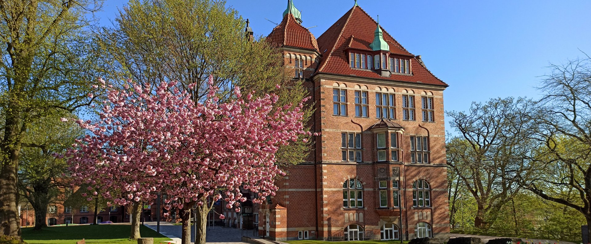 Das Heinrich-Sauermann-Haus ist ein Teil des Museumsberg Flensburg. Es ist ein Gebäude aus roten Steinen. Das Dach ist auch rot und blau. Das Haus hat viele Dekorationen und Fenster. Um das Gebäude herum gibt es blühende Bäume und Blumen. Der Himmel ist blau.