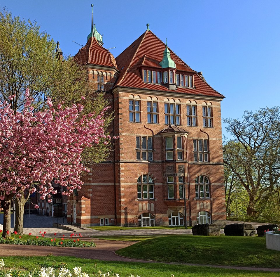 Das Heinrich-Sauermann-Haus ist ein Teil des Museumsberg Flensburg. Es ist ein Gebäude aus roten Steinen. Das Dach ist auch rot und blau. Das Haus hat viele Dekorationen und Fenster. Um das Gebäude herum gibt es blühende Bäume und Blumen. Der Himmel ist blau.