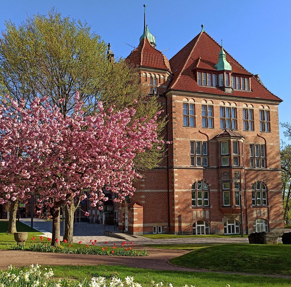 Das Heinrich-Sauermann-Haus ist ein Teil des Museumsberg Flensburg. Es ist ein Gebäude aus roten Steinen. Das Dach ist auch rot und blau. Das Haus hat viele Dekorationen und Fenster. Um das Gebäude herum gibt es blühende Bäume und Blumen. Der Himmel ist blau.