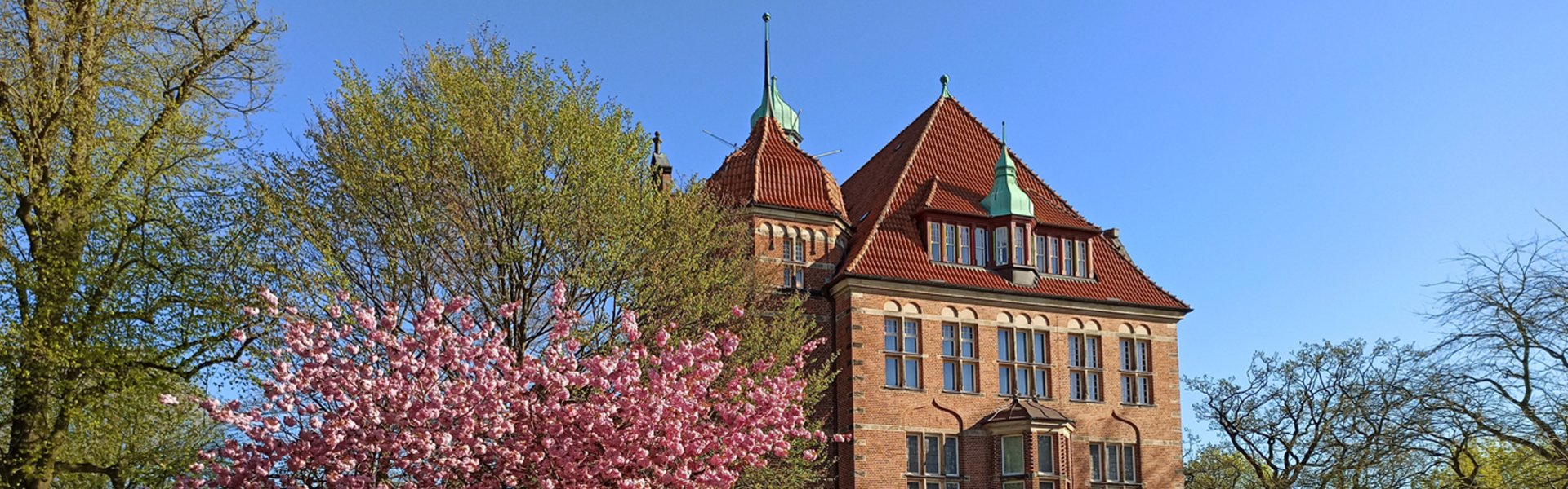 Das Heinrich-Sauermann-Haus ist ein Teil des Museumsberg Flensburg. Es ist ein Gebäude aus roten Steinen. Das Dach ist auch rot und blau. Das Haus hat viele Dekorationen und Fenster. Um das Gebäude herum gibt es blühende Bäume und Blumen. Der Himmel ist blau.