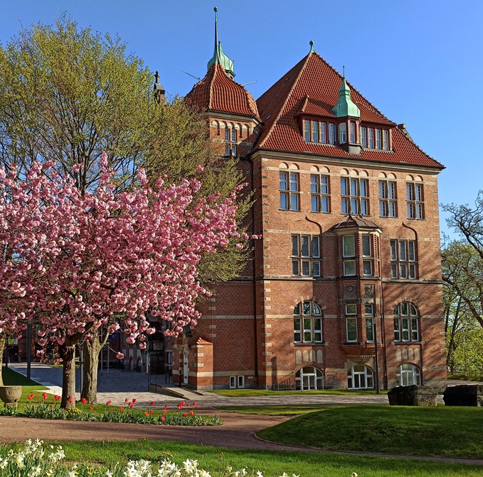 Heinrich-Sauermann-Haus er en del af Museumsberg Flensburg. Det er en bygning af røde sten. Taget er også rødt og blåt. Huset har mange dekorationer og vinduer. Omkring bygningen er der blomstrende træer og blomster. Himlen er blå.