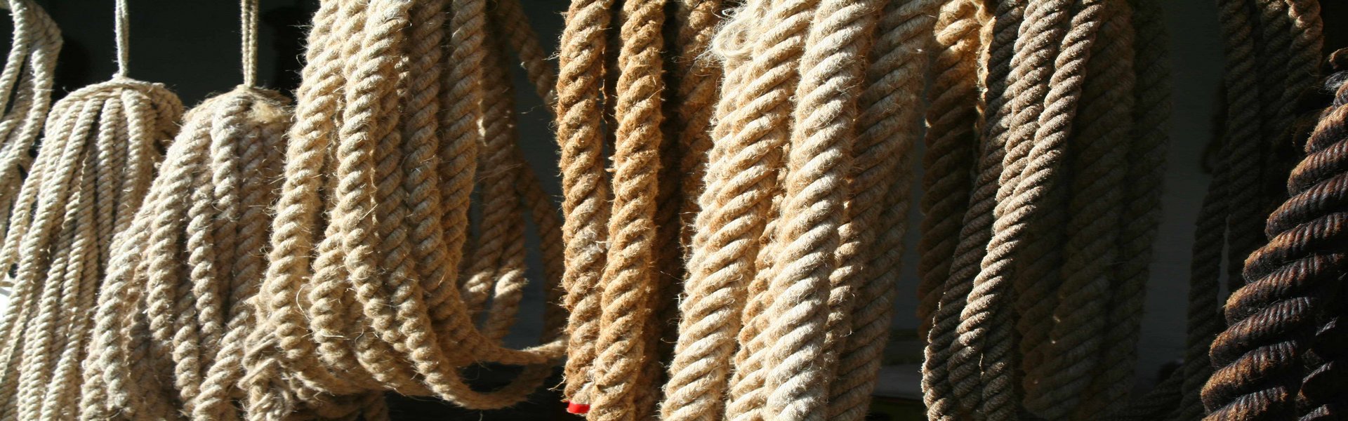 Tauwerk – fein zu Schlaufen gelegt – hängt von der Decke herunter. Die Seile unterscheiden sich leicht in ihrer Stärke und in ihrer Farbe. Die Farben reichen von dunkelbraun bis hin zu hellbeige. 